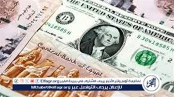 قبل اجازة البنوك بساعات.. سعر الدولار مقابل الجنيه المصرى اليوم 6 يناير 2027